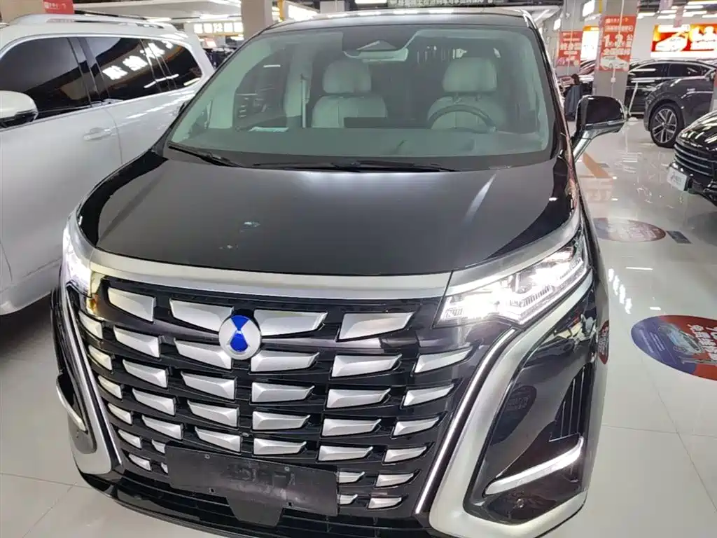 Denza D9 2022 DM-i 970 AWD Flagship фото 3