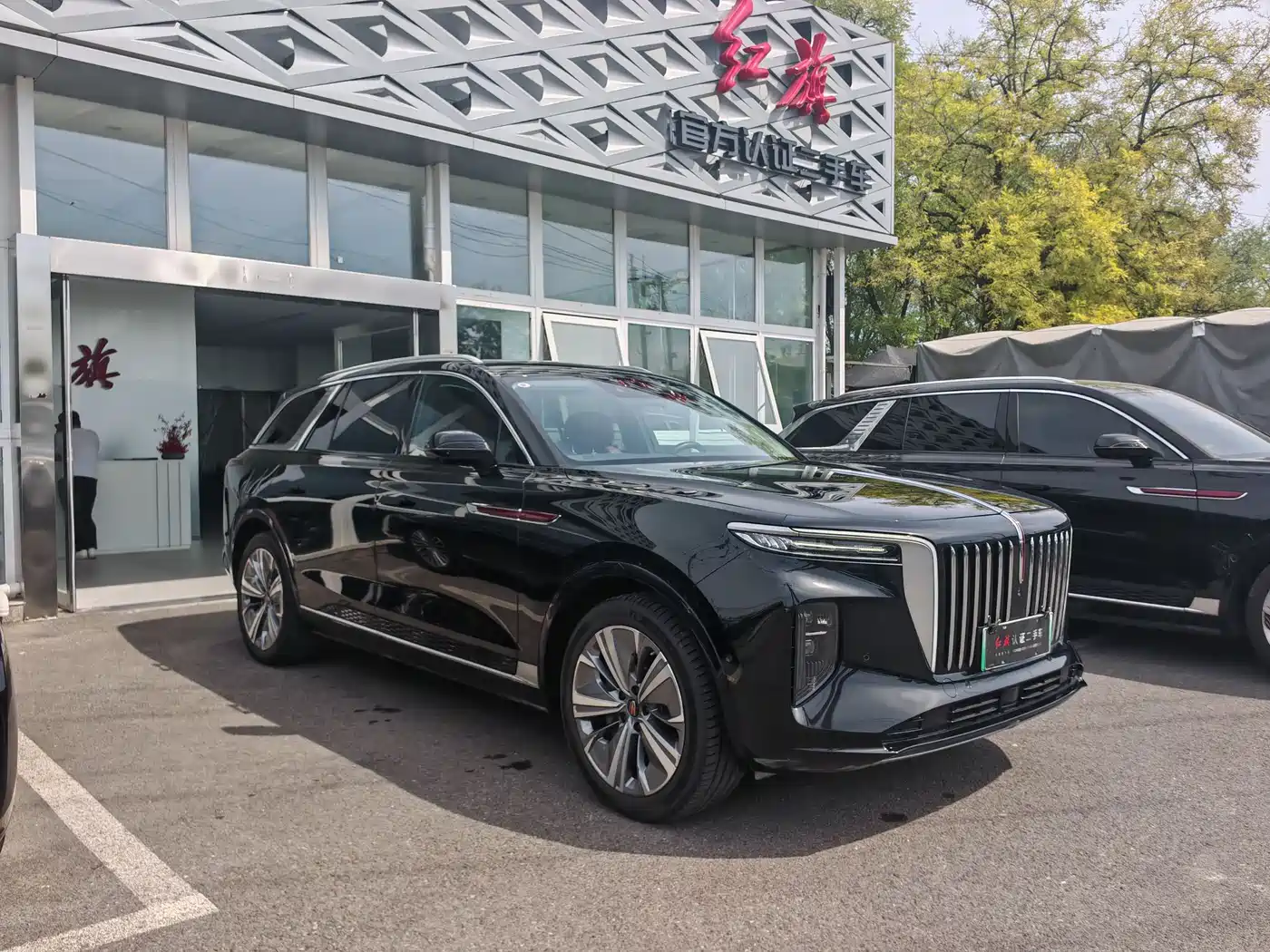 Hongqi E-HS9 2022 690km Qi Xiang Edition (6-seater) фото 17