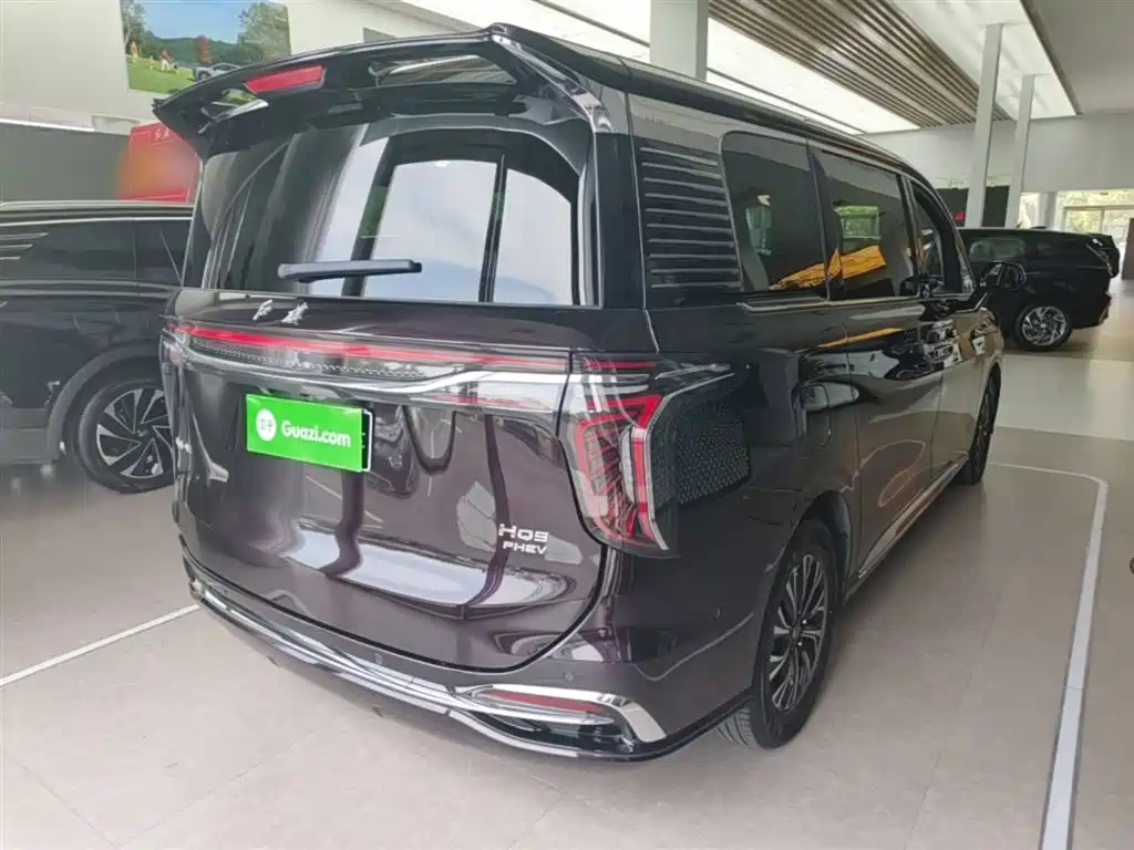 Hongqi HQ9 PHEV 2024 Model 2.0T AWD Luxury Edition фото 7