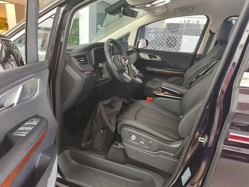 Hongqi HQ9 PHEV 2024 Model 2.0T AWD Luxury Edition фото 16