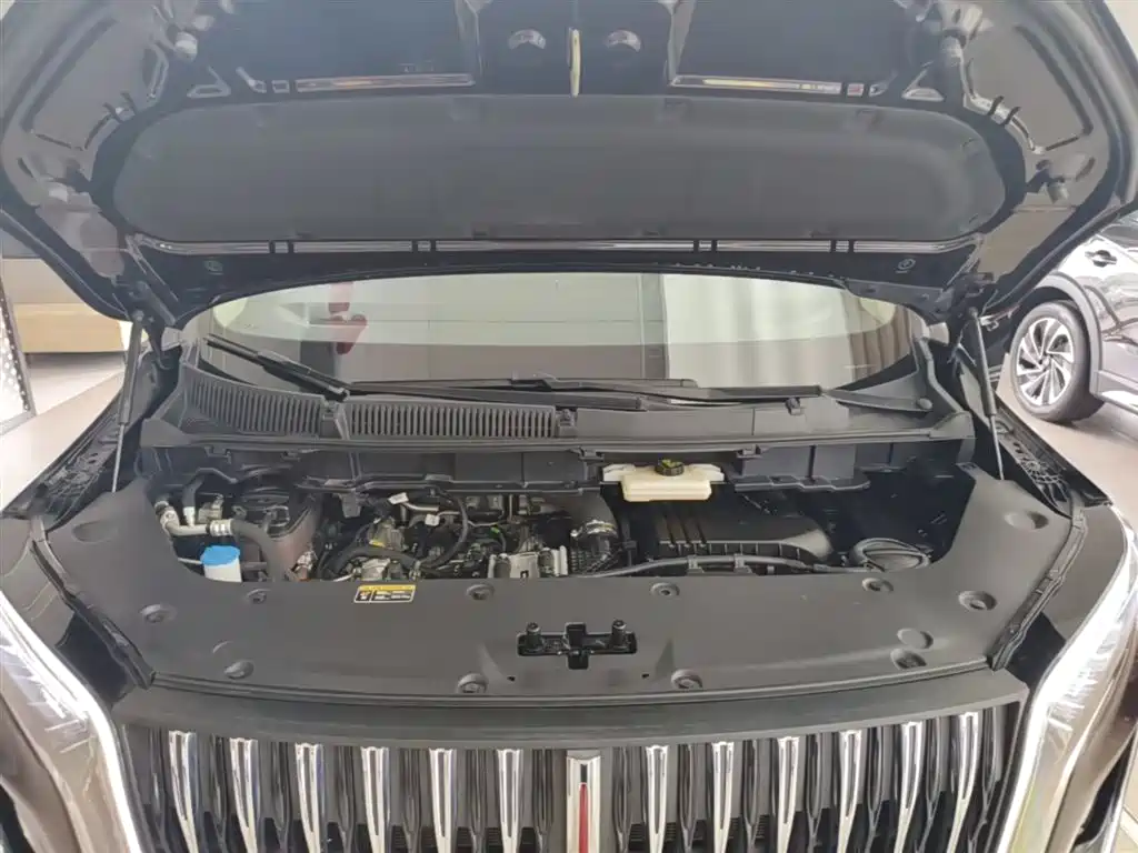 Hongqi HQ9 PHEV 2024 Model 2.0T AWD Luxury Edition фото 20