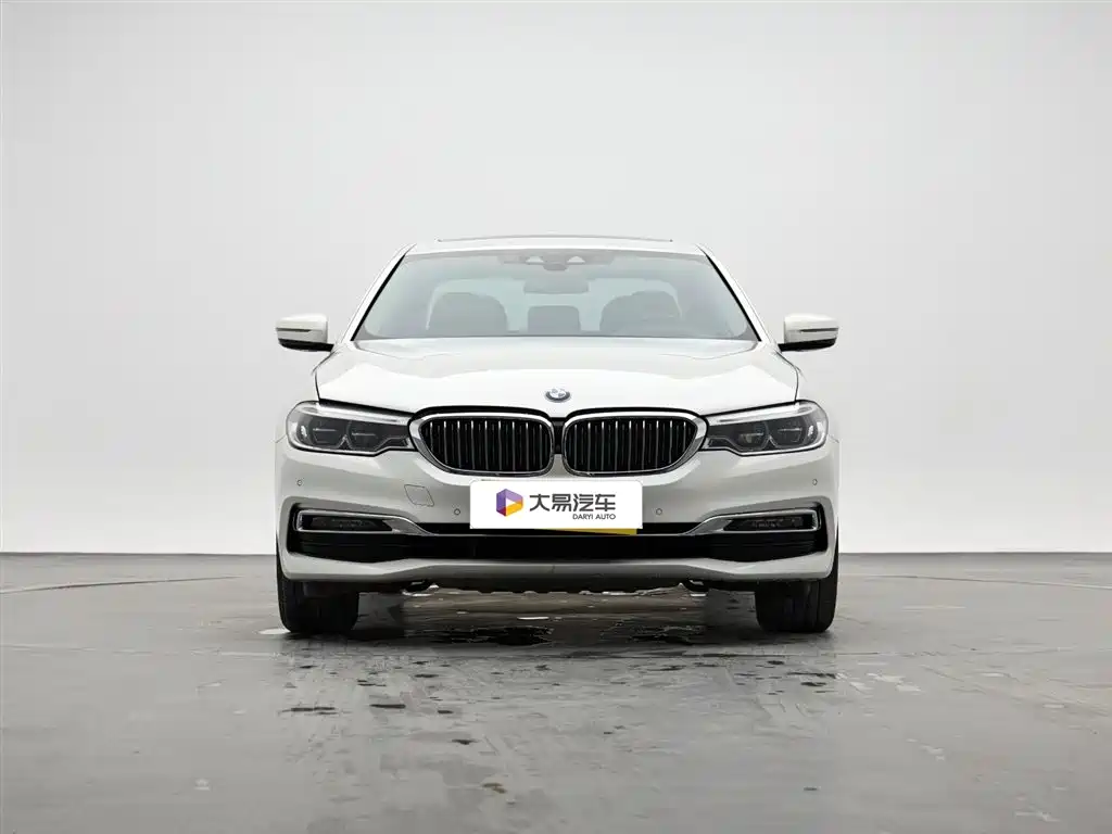 BMW 5 Series 2019 530Li Premium Luxury Package фото 2