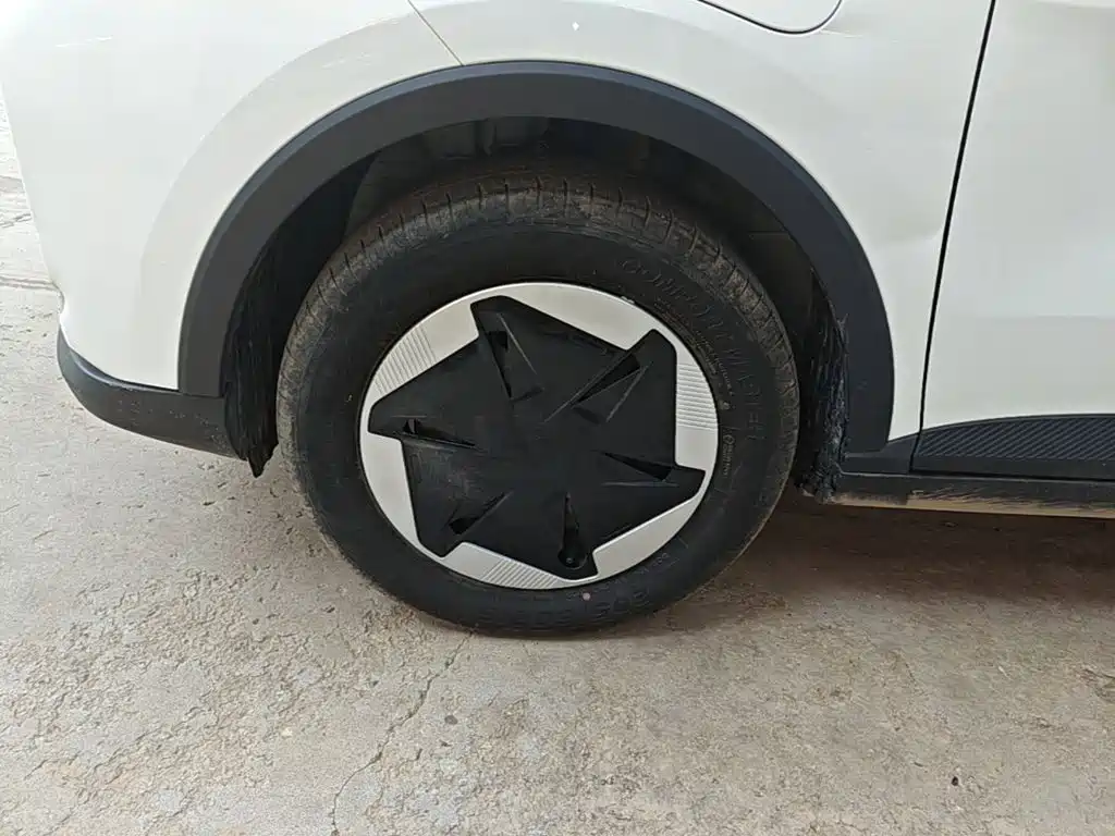 Geely Geometry E Firefly 2024 2024 Model 301km Light Flow