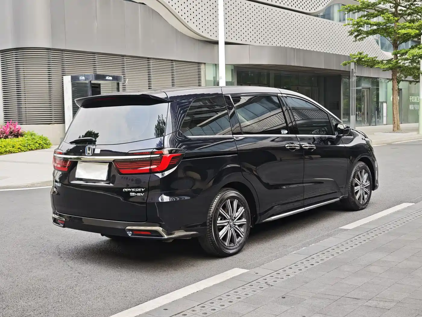 HONDA ODYSSEY