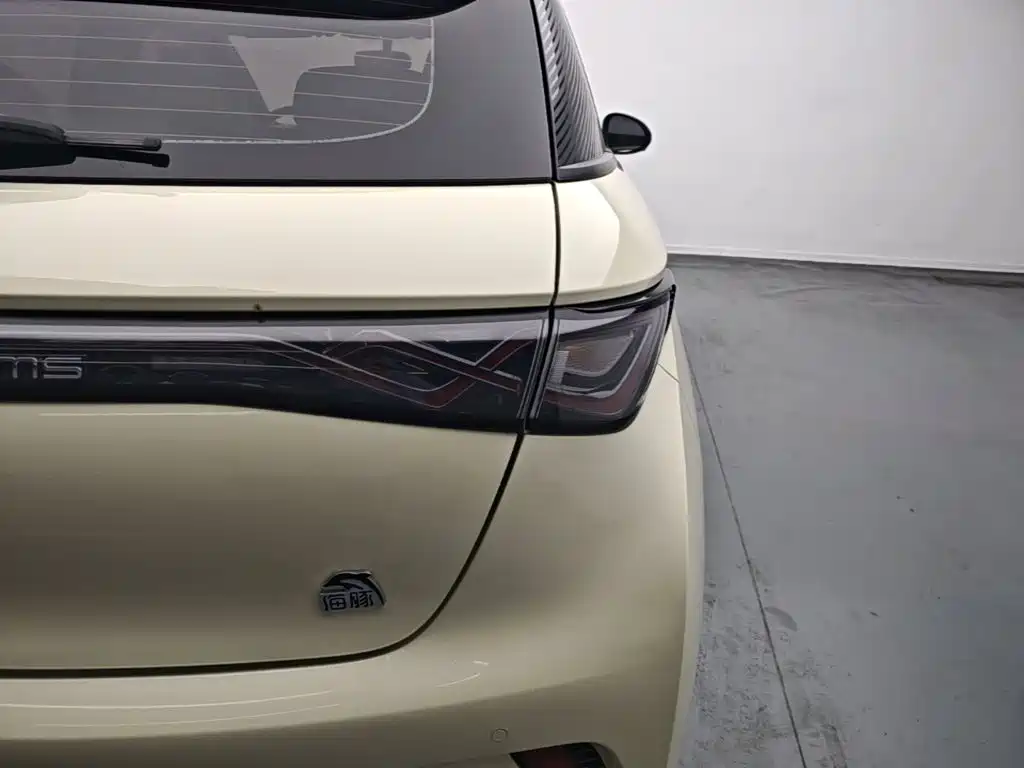 Фото 8 - BYD Dolphin