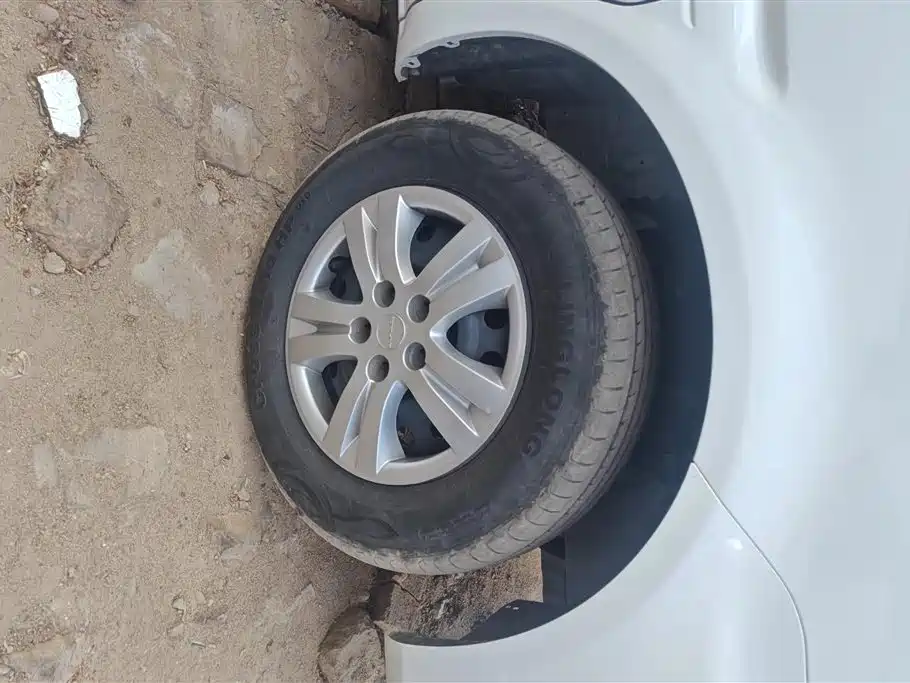 DONGFENG POPULAR LINGZHI