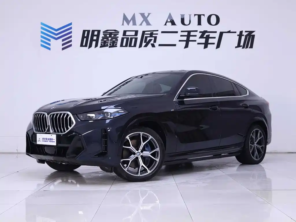Фото 2 - BMW X6