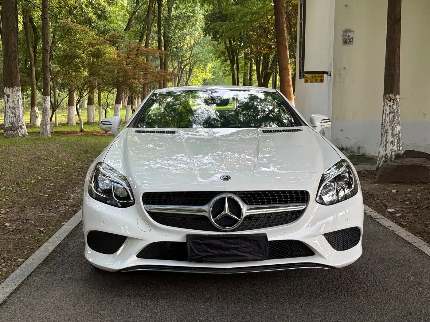 Mercedes-Benz SLC 2018 SLC 260 Dynamic фото 2