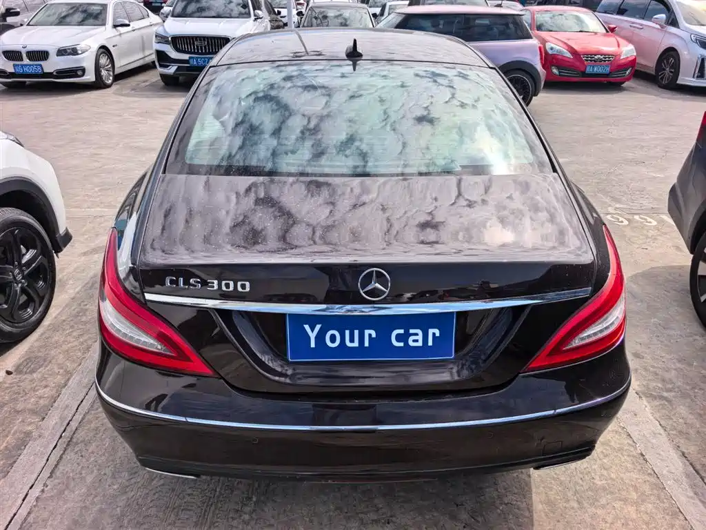 Mercedes-Benz CLS 2012 CLS 300 CGI фото 5