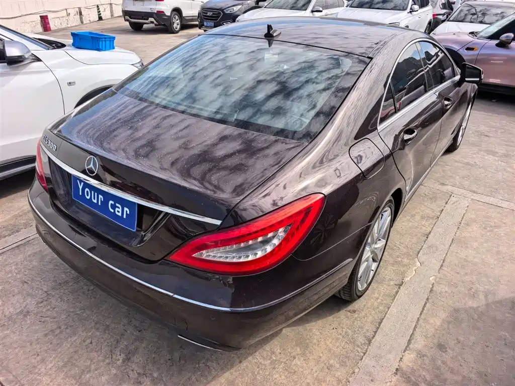 Mercedes-Benz CLS 2012 CLS 300 CGI фото 7