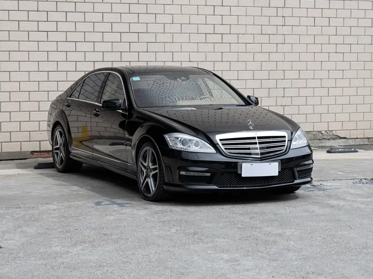 Mercedes-Benz S-Class AMG 2010 AMG S 65 фото 3