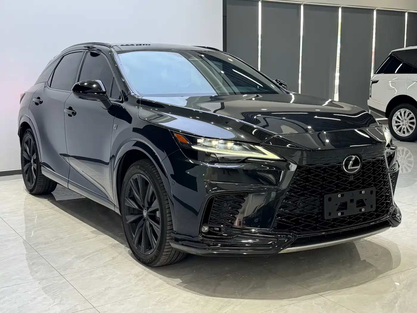 Lexus RX 2023 500h 4WD F SPORT Performance фото 3