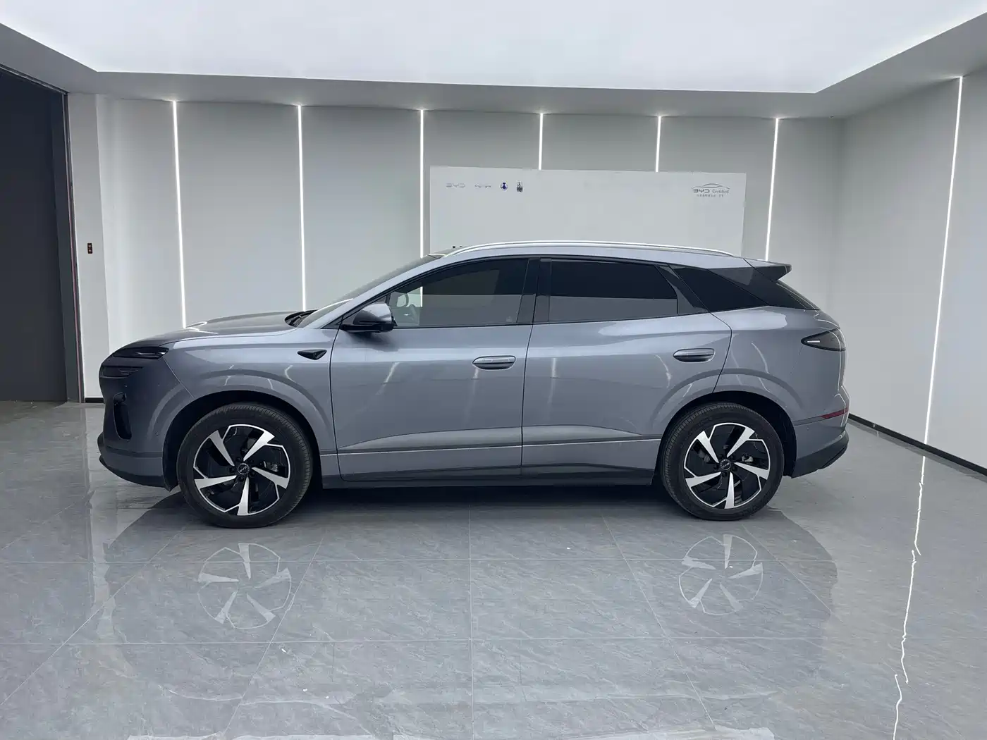 BYD Sealion 06 New Energy 2025 EV 605 Pilot Pro Edition фото 3