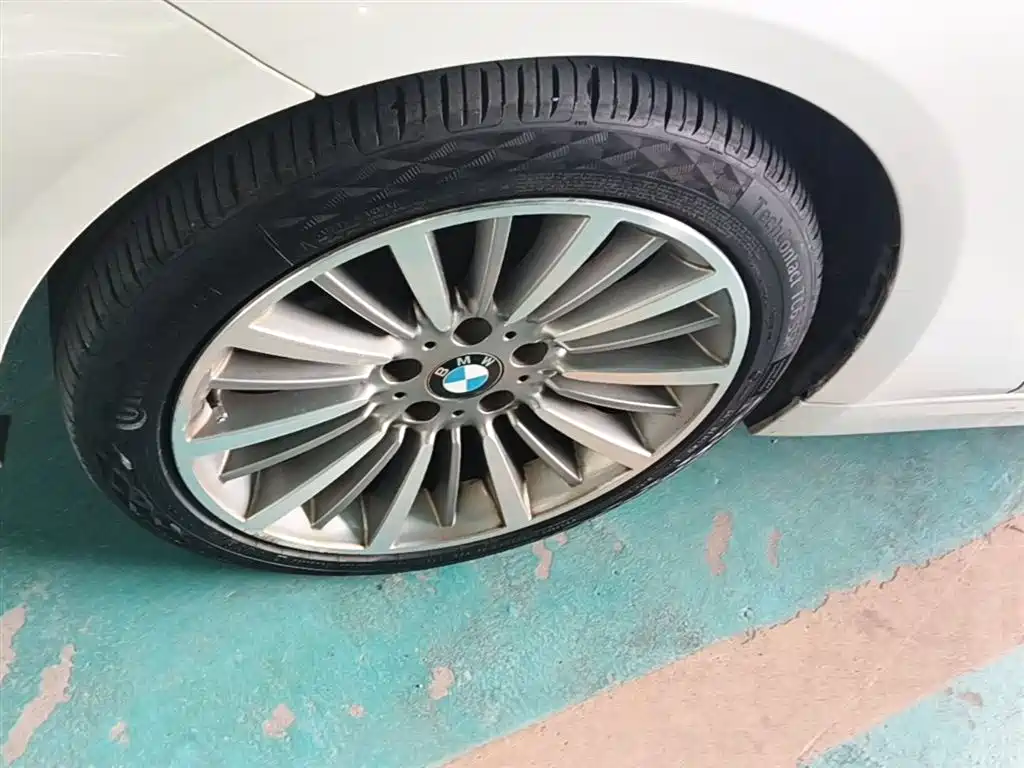 BMW 3 Series 2019 320Li Fashion Type фото 23