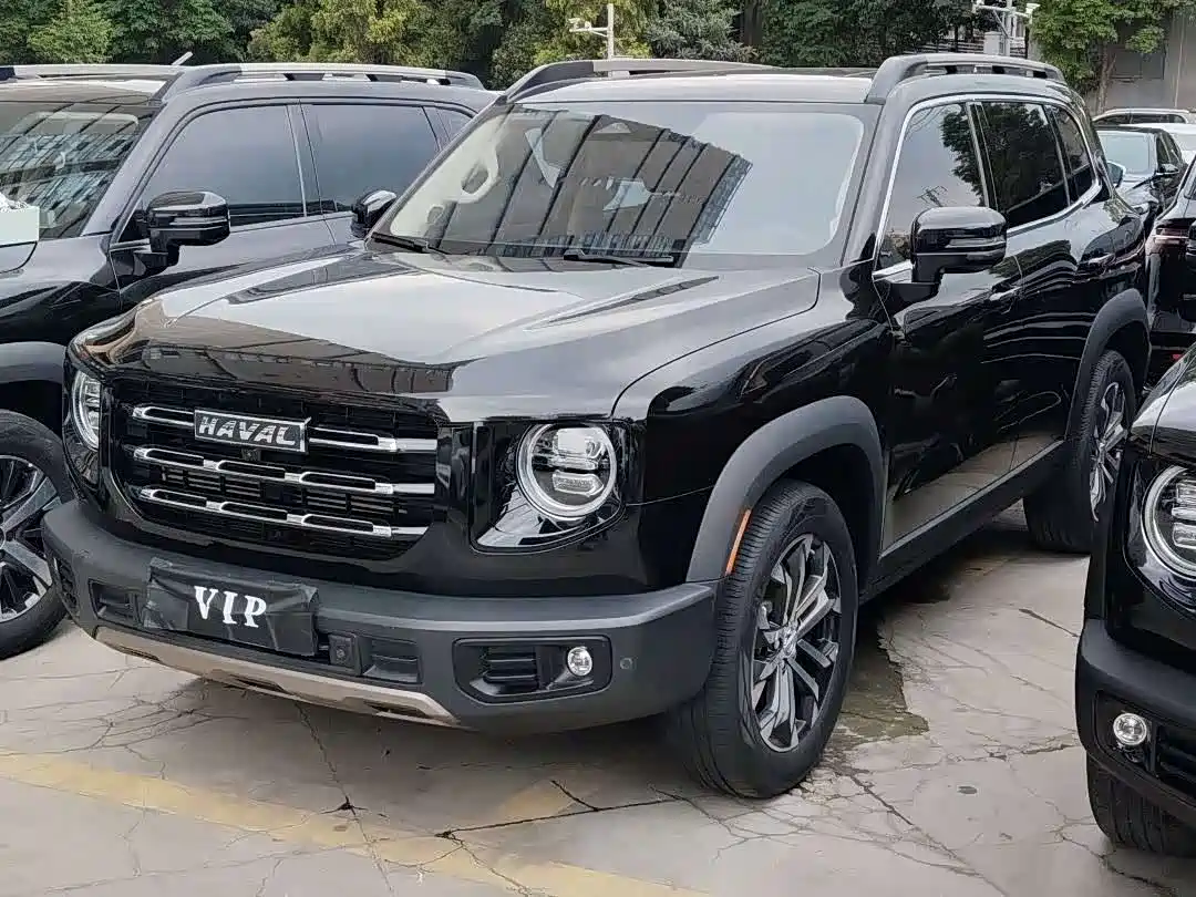 Haval Big Dog 2021 1.5T DCT 2WD Border Collie Edition