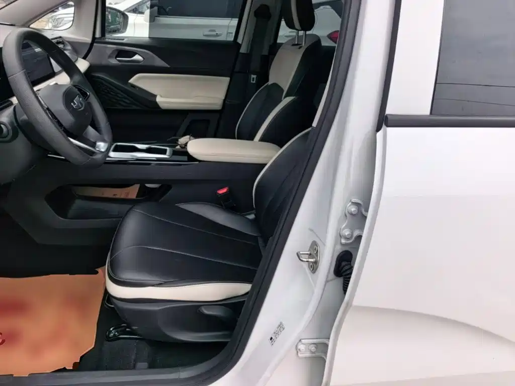 Geely Geometry E Firefly 2024 2024 Model 301km Starlight