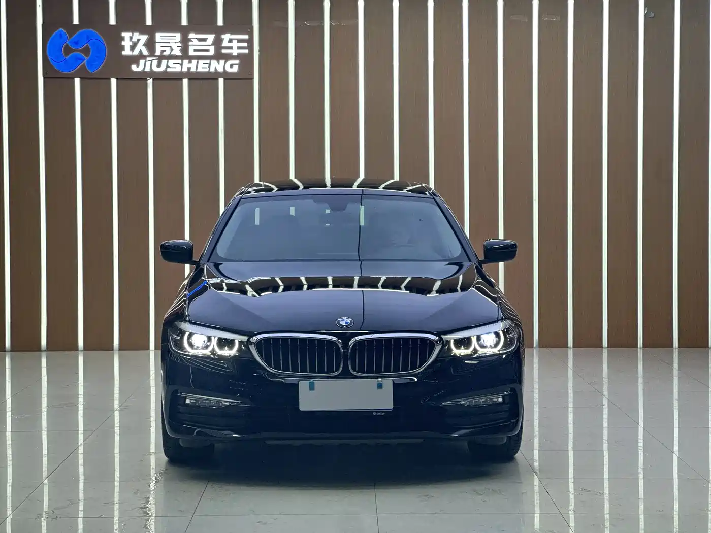 BMW 5 Series 2018 528Li Launch Special Edition фото 2