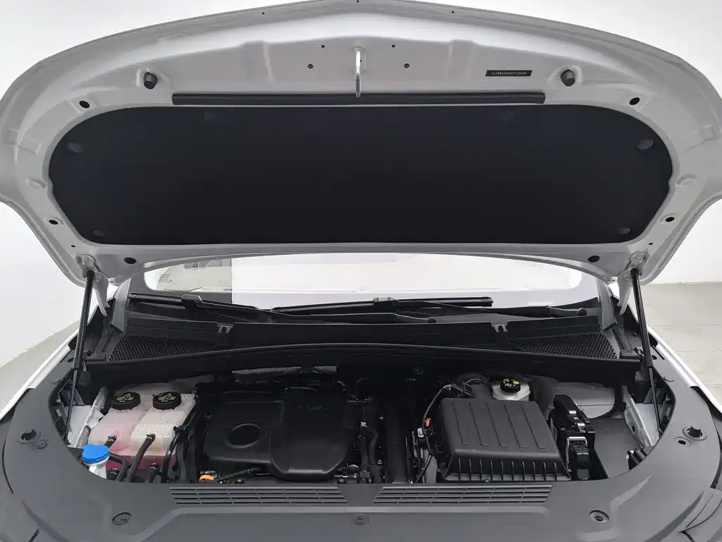 Roewe iMAX8 EV 2025 2025 Model 1.5T DMH Land Premium Edition