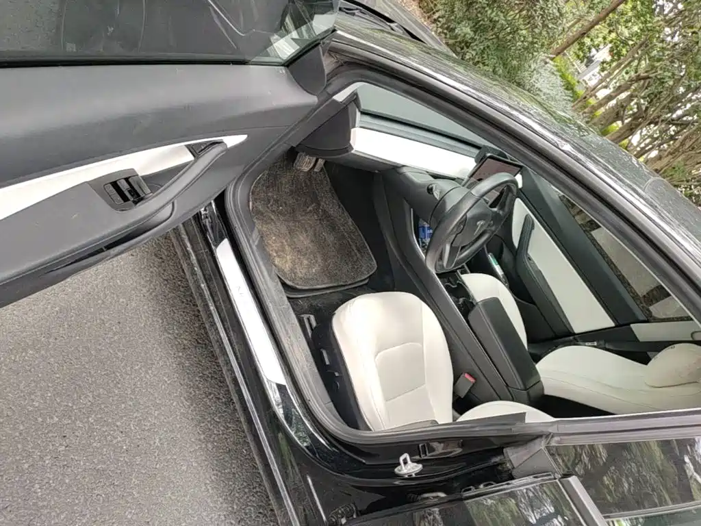 Tesla Model 3 (Import) 2019 2019 Long Range RWD Version