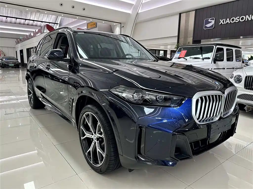 BMW X5 2023 xDrive 30Li Premium M Sport Black Night Package фото 3