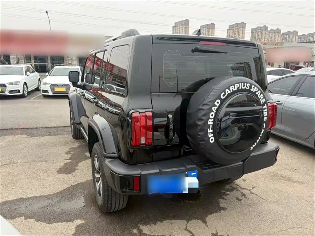 Tank 300 2024 2.0T Explorer фото 11