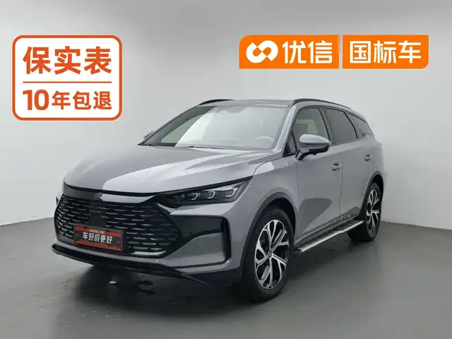 BYD Tang New Energy 2025 DM-i 115KM Prestige Type — фото 1