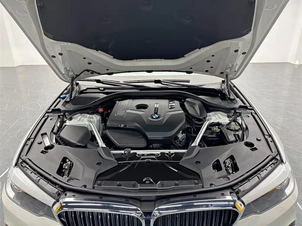 BMW 5 Series 2019 Facelift 525Li M Sport Package фото 24