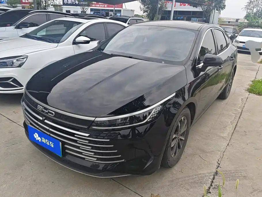 BYD Destroyer 05 2024