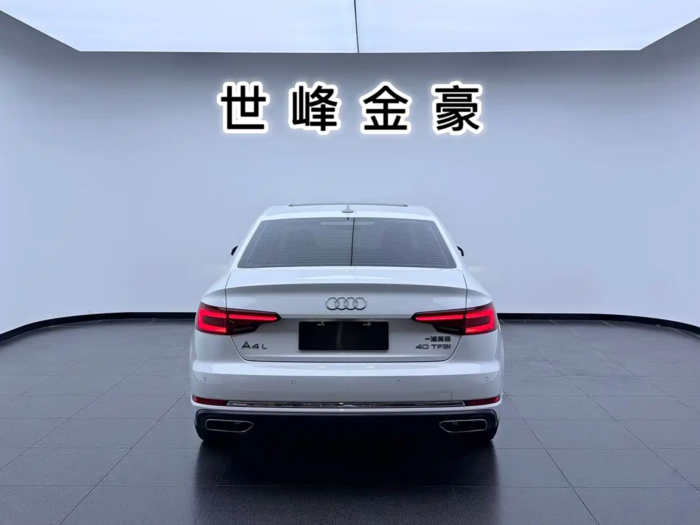 Audi A4L 2019 40 TFSI Progressive (China V) фото 20