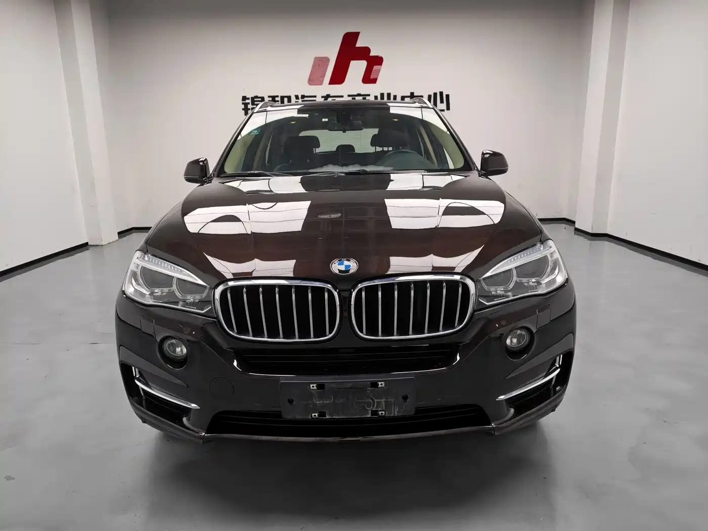 BMW X5 (Import) 2017 xDrive28i фото 2
