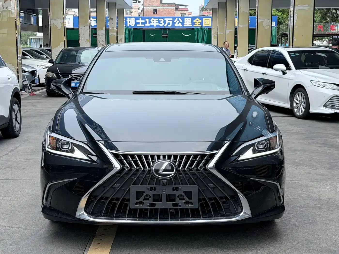 Lexus ES 2024 200 Premium Edition фото 2