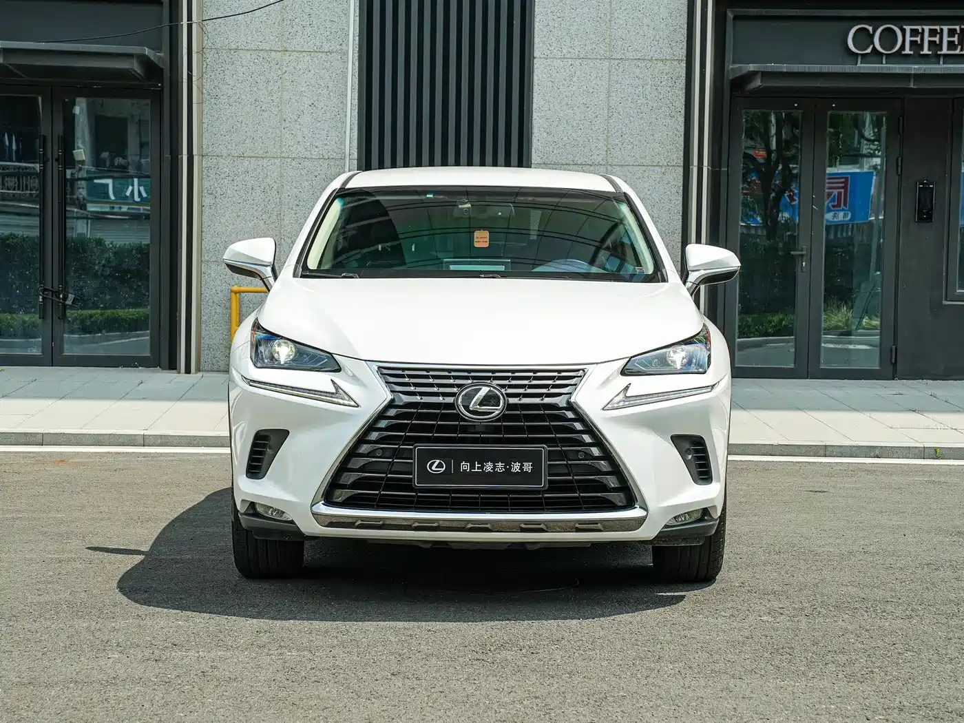Lexus NX 2018 Model 300 FWD Fengxing Edition фото 2