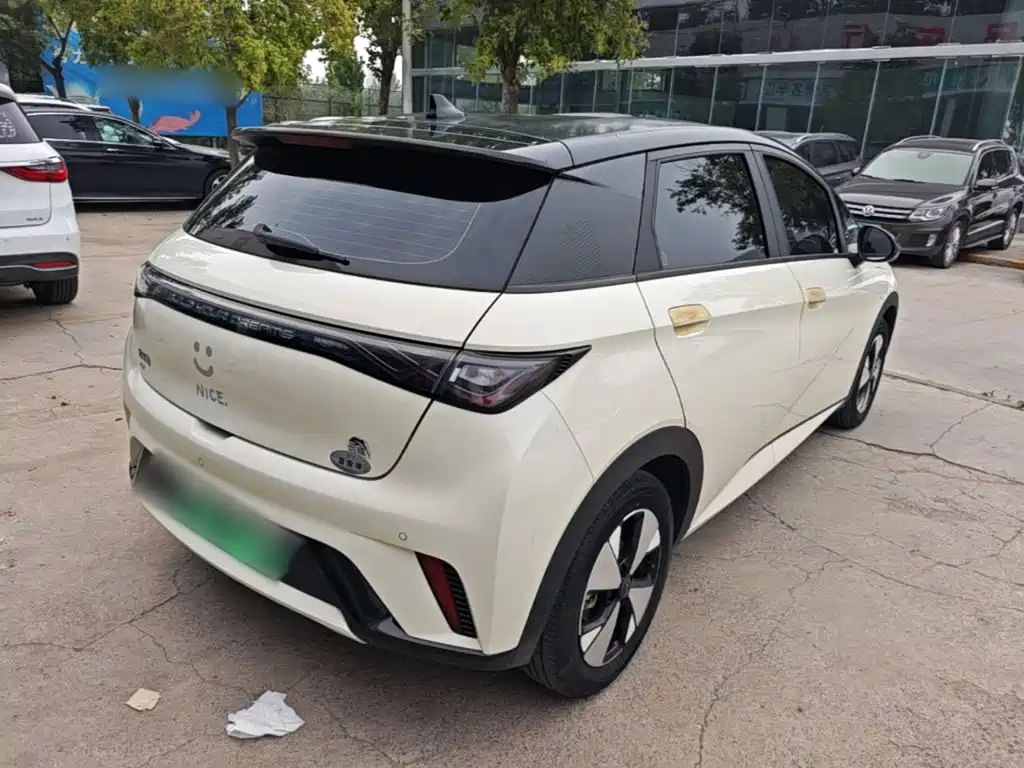 Фото 7 - BYD Dolphin