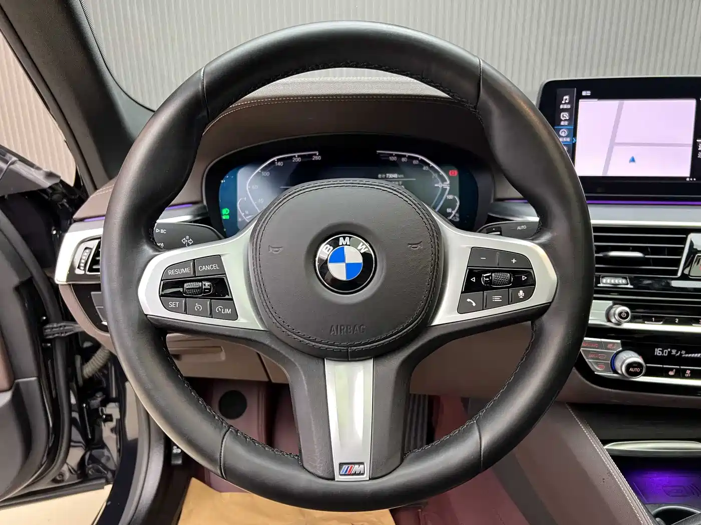 BMW 5 SERIES NEW ENERGY