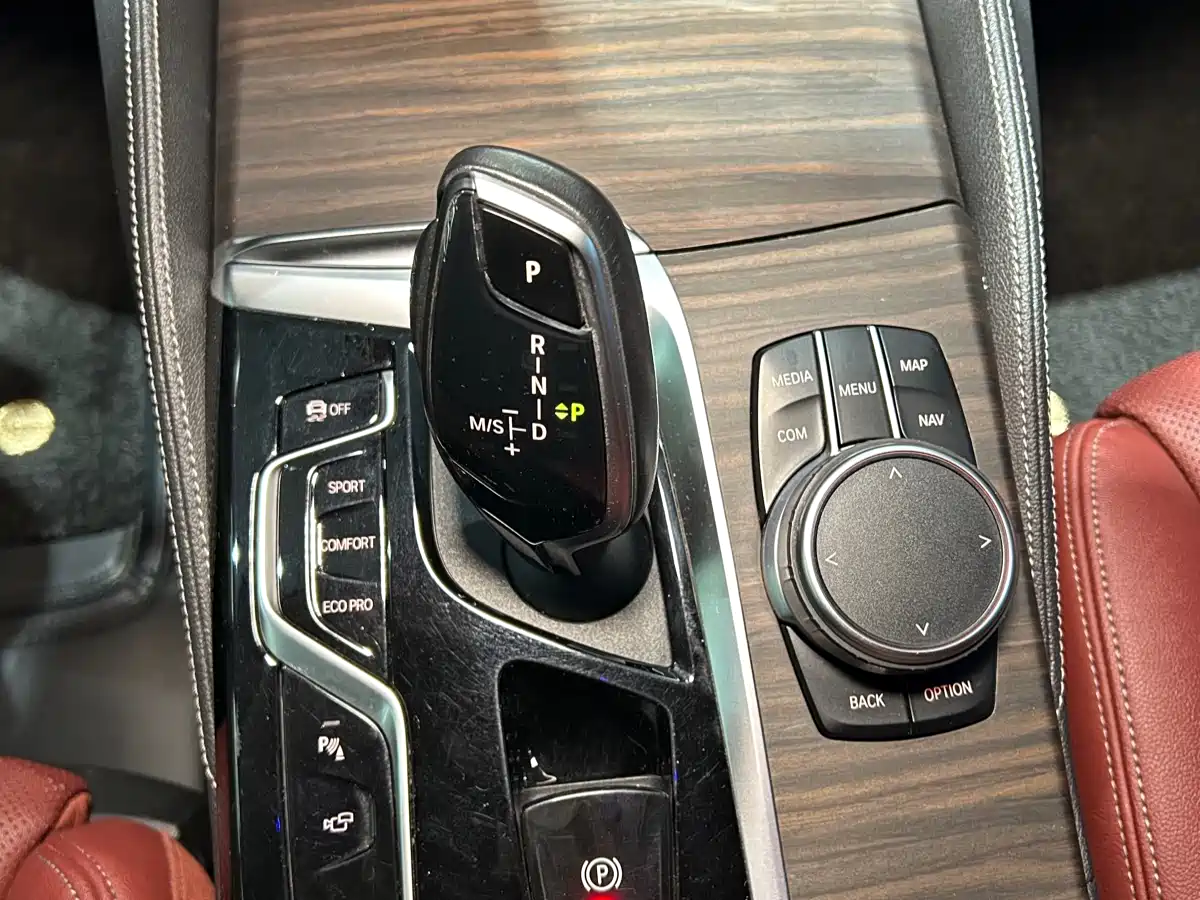 BMW 5 Series 2021 530Li Premium Luxury Package фото 19