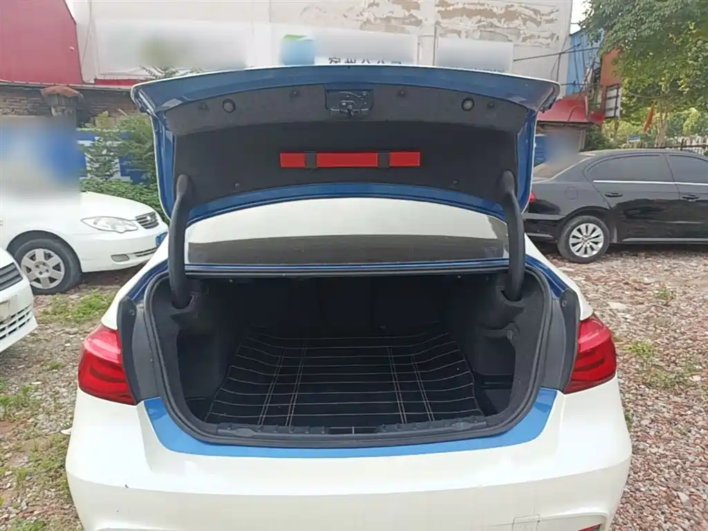 BMW 3 Series 2017 320Li M Sport фото 19