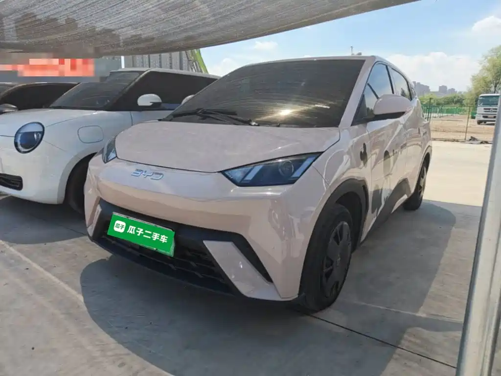 BYD Seagull 2024