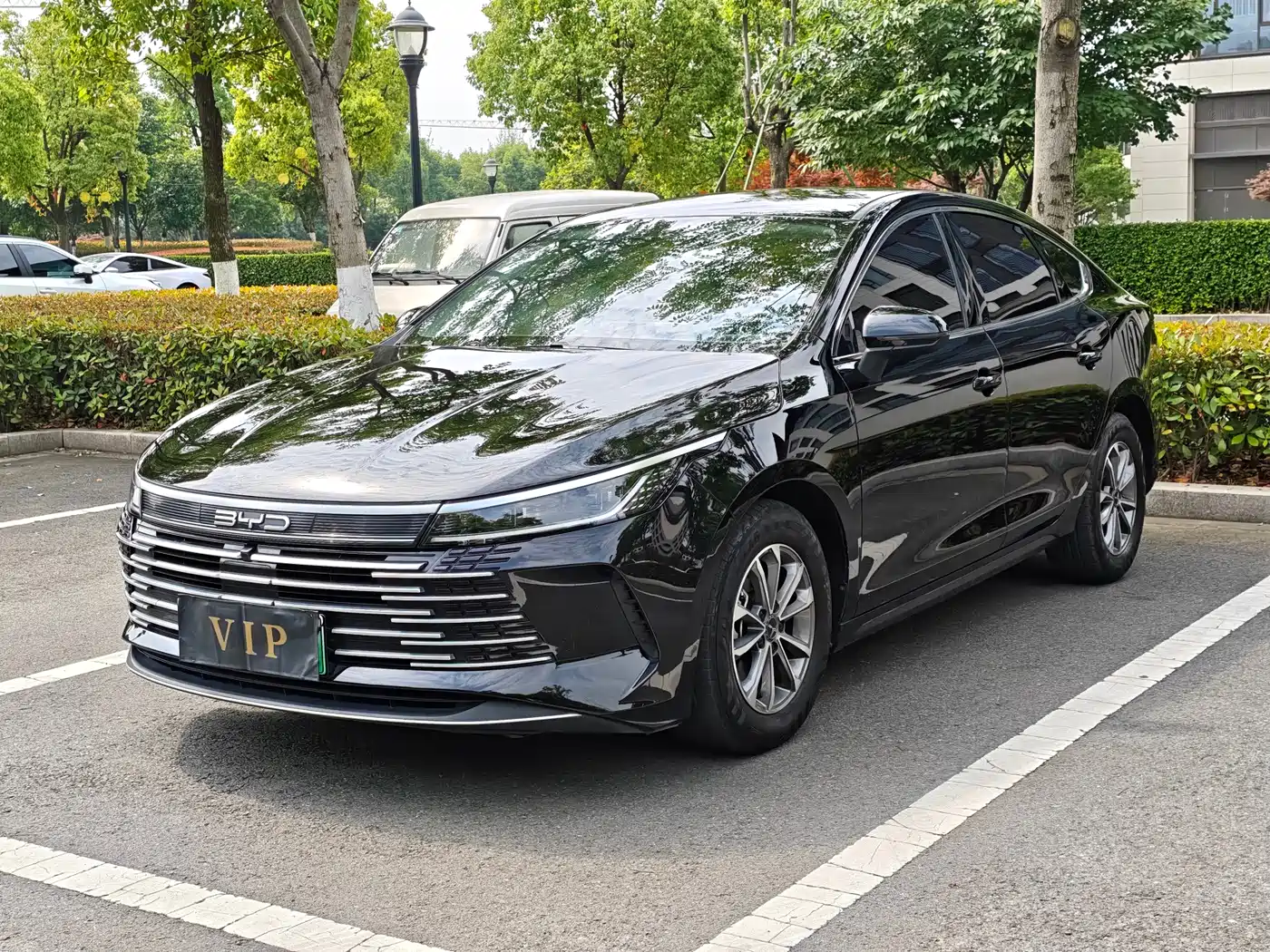 BYD Destroyer 05 2024 Glory Edition DM-i 55KM Luxury фото 2