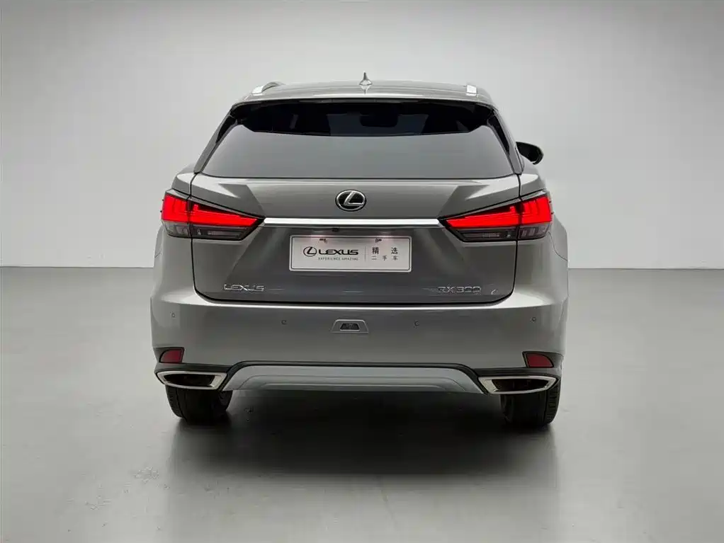 Lexus RX 2020 300 AWD Elegance Edition China V фото 21