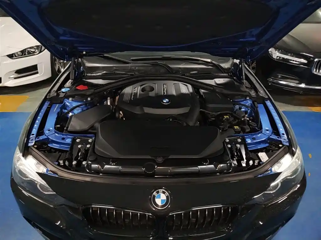 BMW 3 Series 2018 330Li M Sport Black Night Edition фото 16
