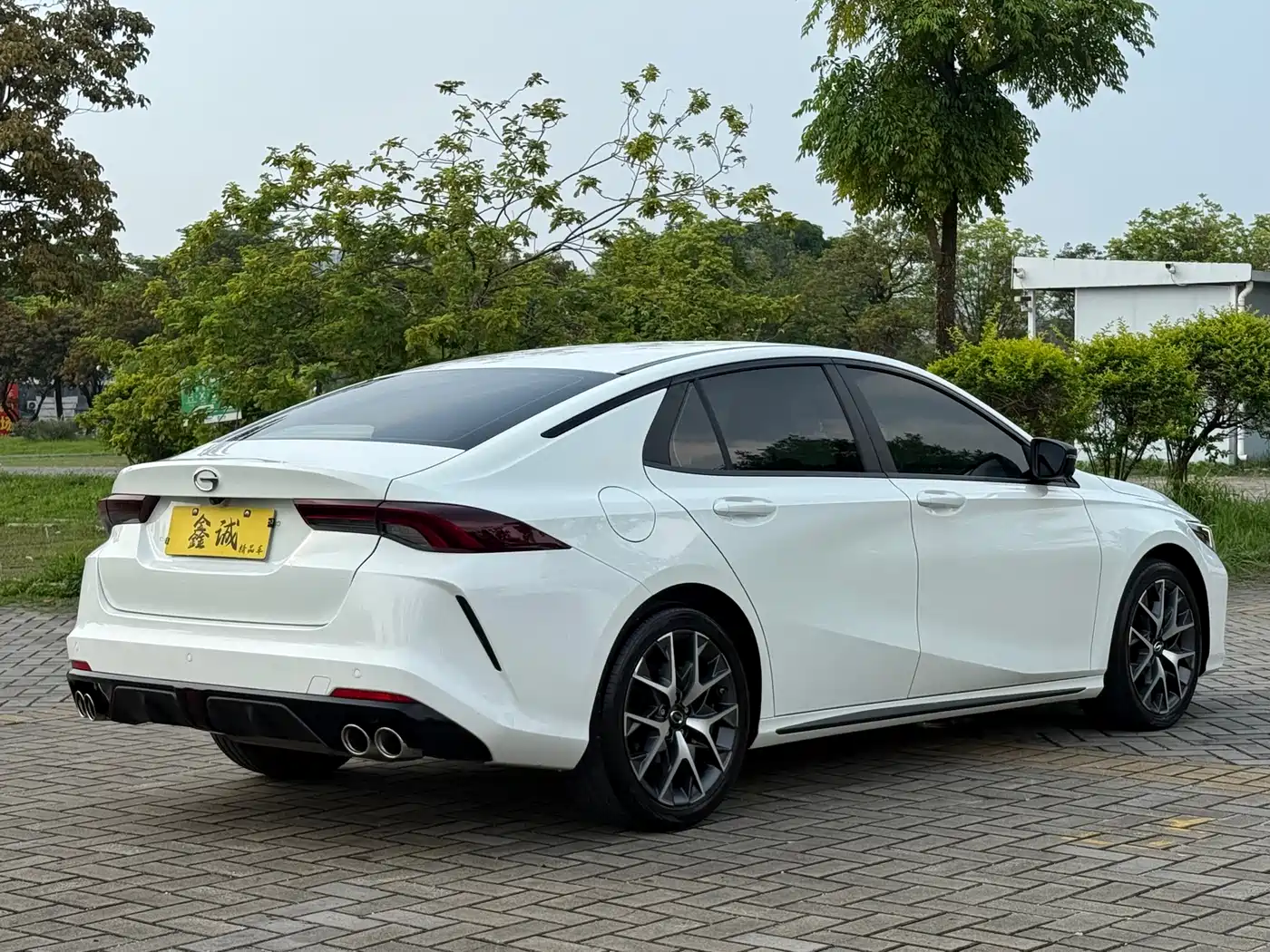 GAC SHADOW LEOPARD