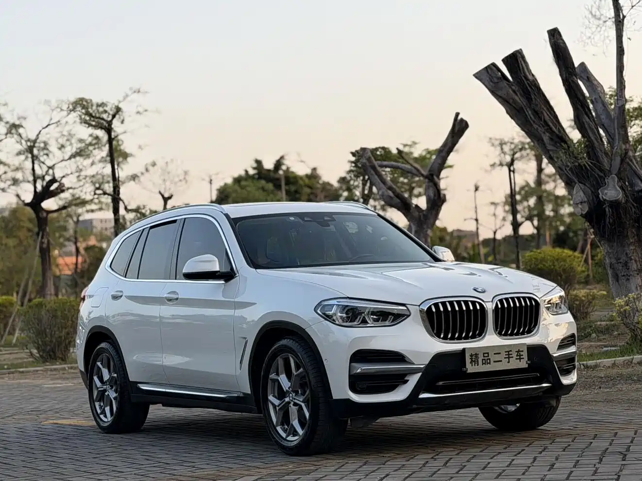 BMW X3 2019 xDrive28i Luxury Package фото 3