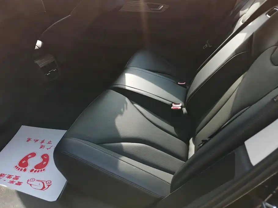 Hongqi E-QM5 2023 620km PLUS фото 11