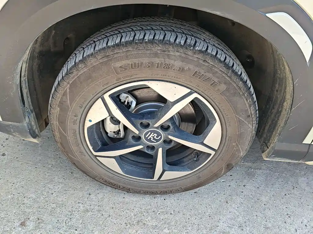 BYD Yuan UP 2026 2025 Model 301KM Navigator