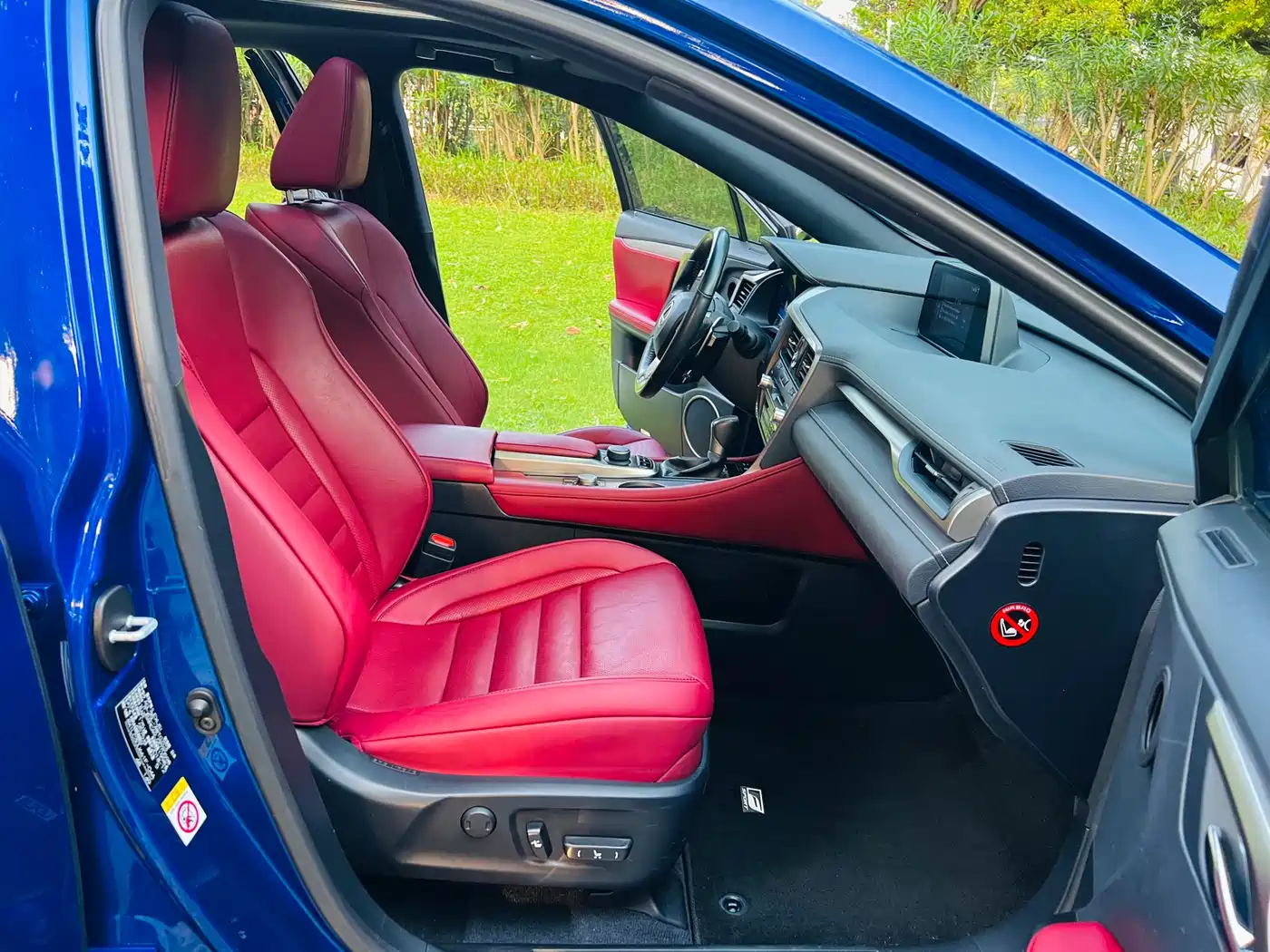 LEXUS RX