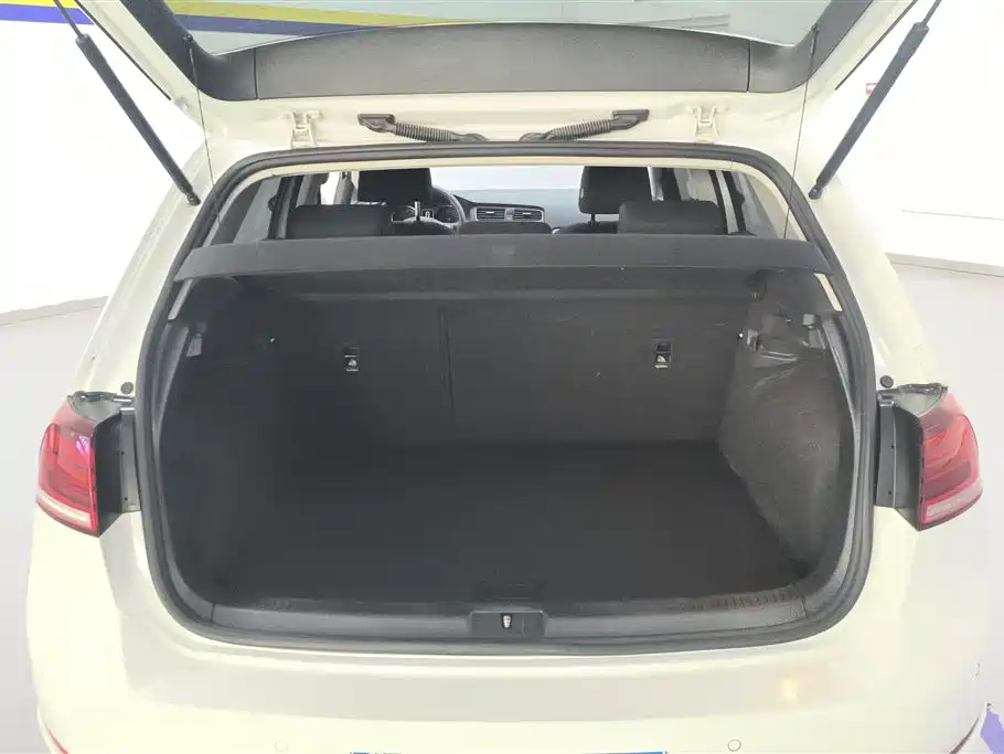Volkswagen Golf 2019 200TSI DSG Comfort Progressive China VI фото 4