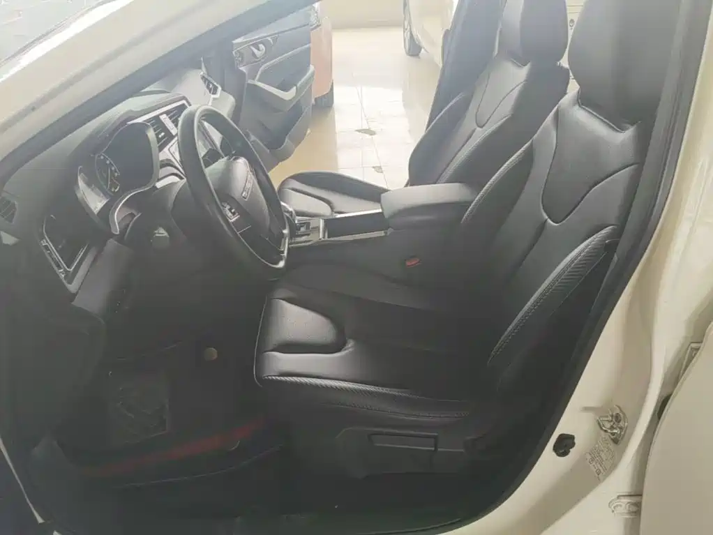 Venucia D60EV 2022 2020 Standard Range Smart Edition