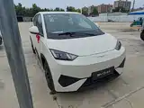 Фото 4 - BYD Seagull
