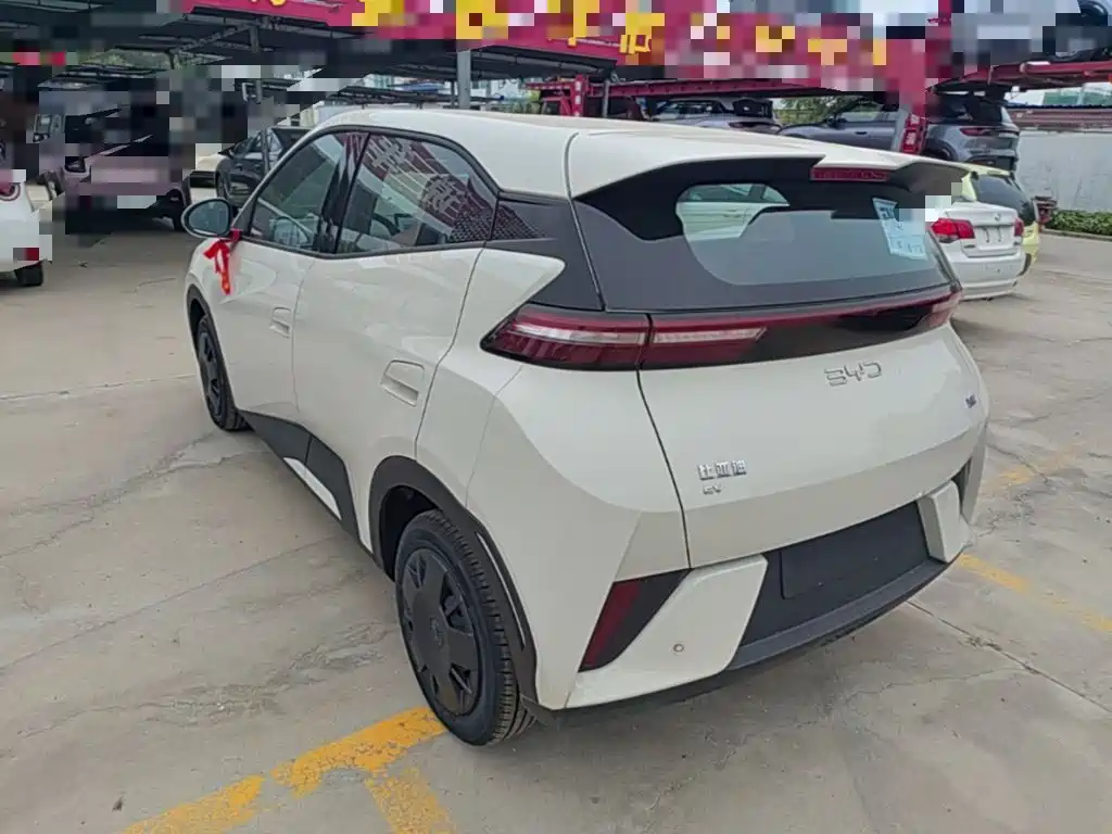 BYD Seagull 2026 2025 Smart Drive Edition 305km Vitality Version