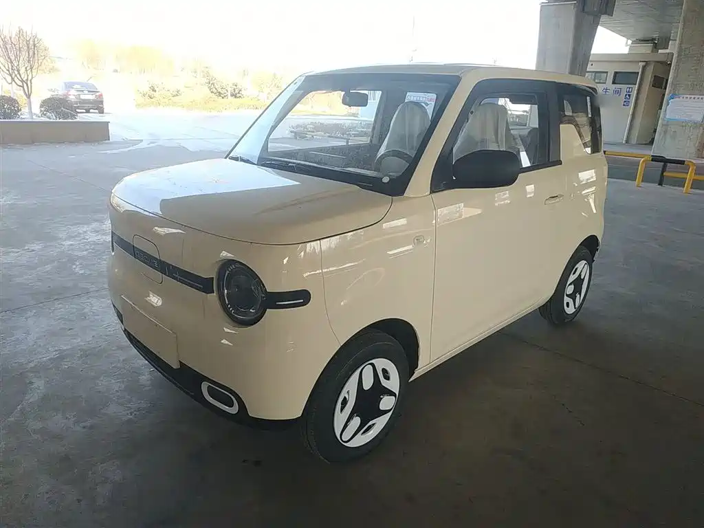 Geely Galaxy Panda 2025 Panda mini 210km Vitality Bear